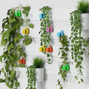 15 Mãozinhas Silicone Adesiva